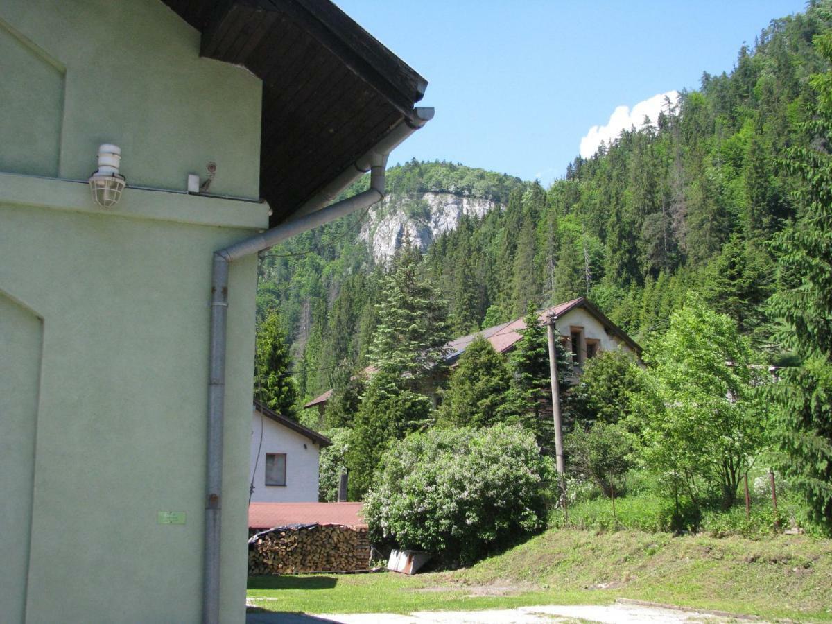 Penzión Borovica Stratená Esterno foto